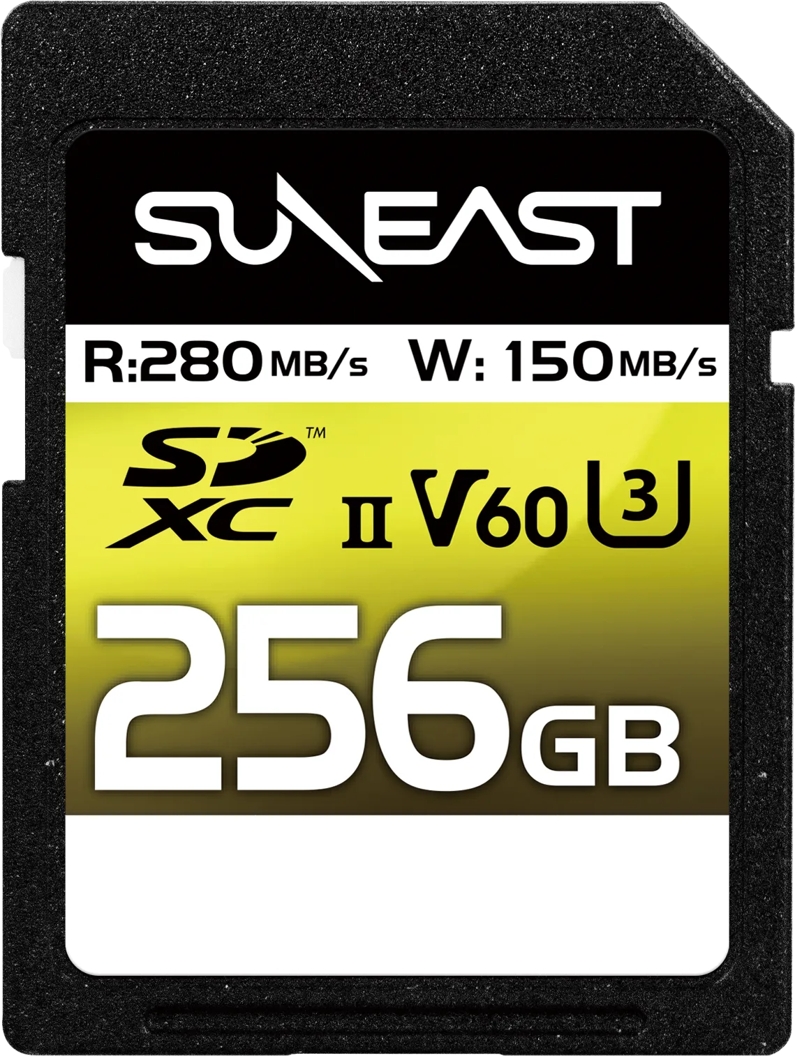 SD V60 256GB