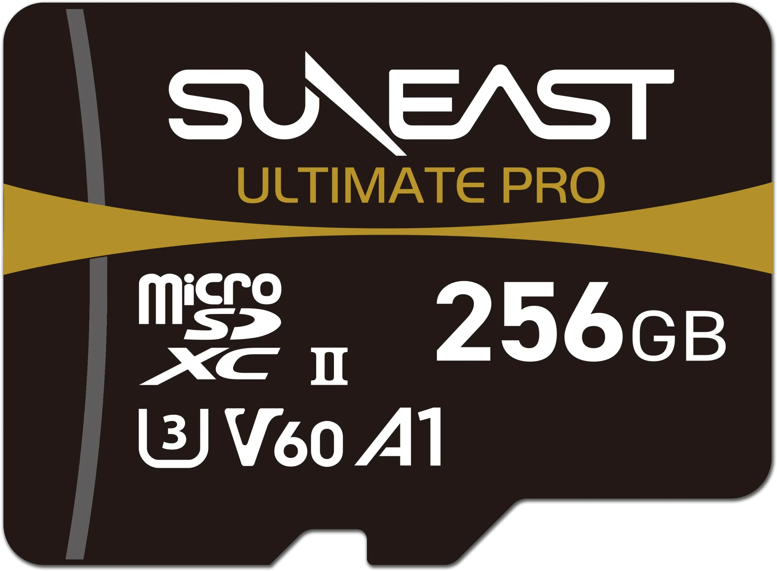 microSD V60 256GB