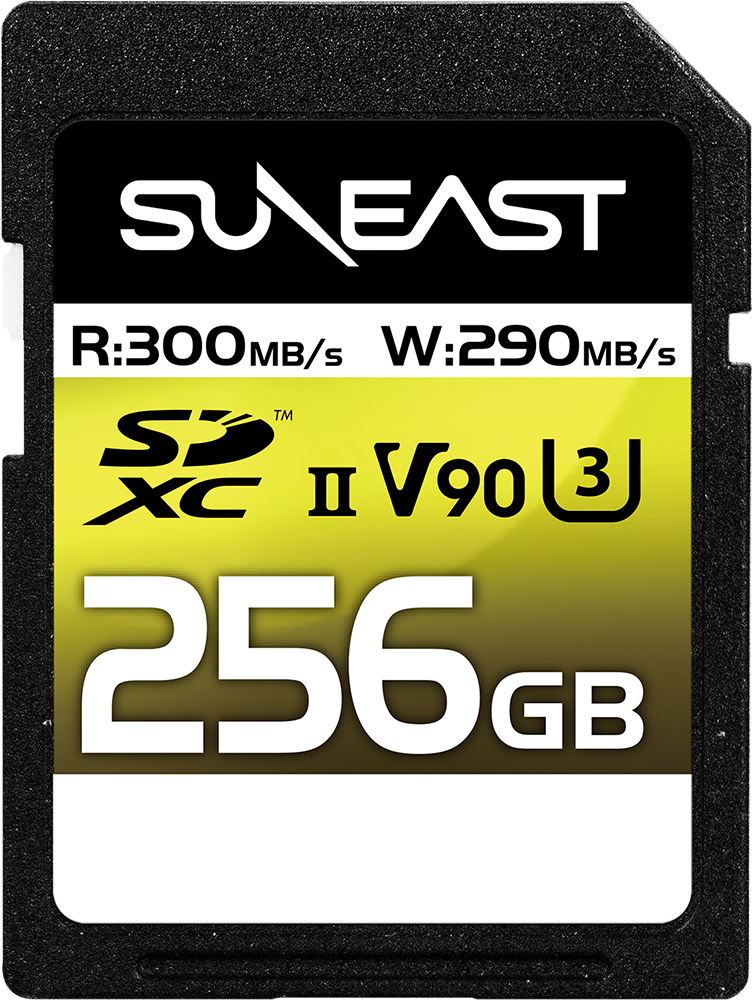 SD V60 256GB