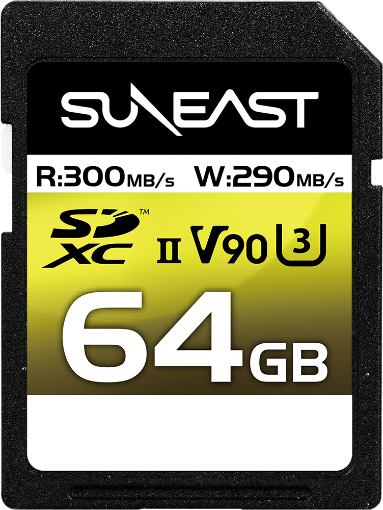 SD V60 64GB